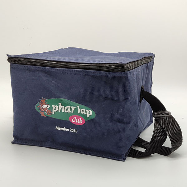 Promotional 600D Polyester Cooler Bag